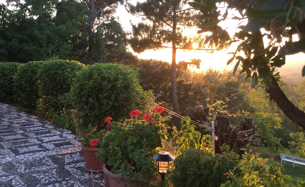 A beautiful Spanish Sunset from the mountain gardens of Finca Buen Vino