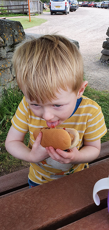 toddler eating hotdog