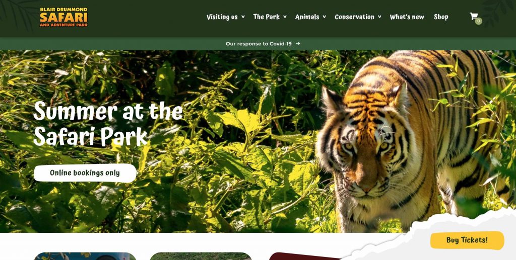 Blair Drummond Homepage with a tiger